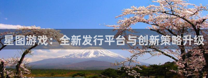 广东蓝图娱乐官网电子科技有限公司