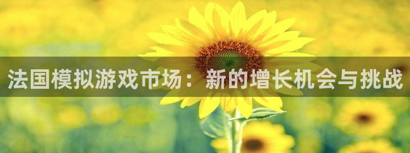 我想看蓝图娱乐官网：法国模拟游戏市场：新的增长机会与挑战