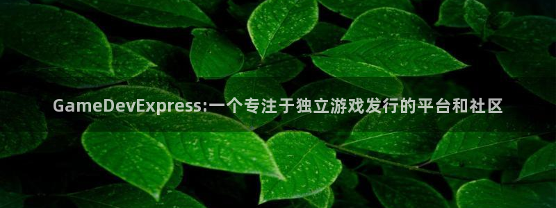 蓝图娱乐官网子出版社董事长